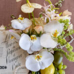 48393BA3 9950 4033 9519 4B7C6005B884 1 105 c